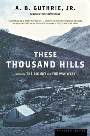 Cover of These Thousand Hills