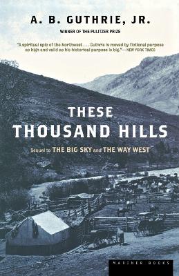 Cover of These Thousand Hills