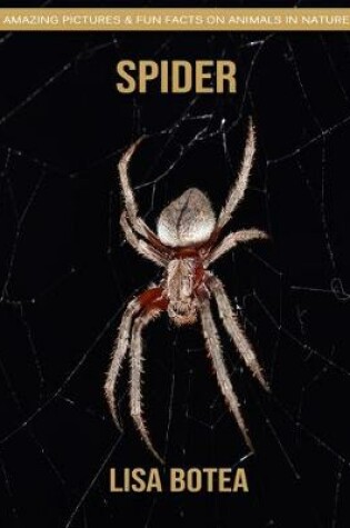 Cover of Spider