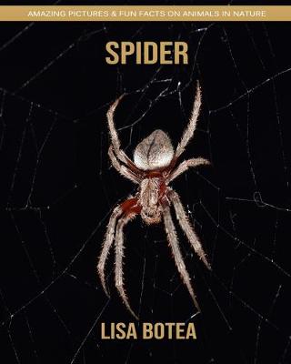 Book cover for Spider