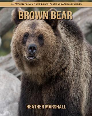 Book cover for Brown Bear