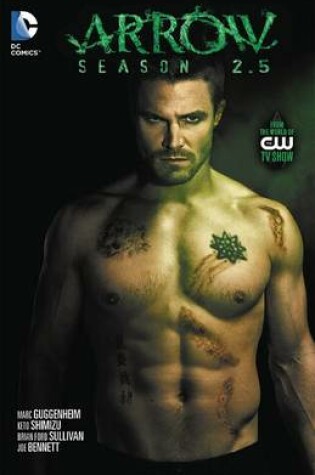 Cover of Arrow Season 2.5