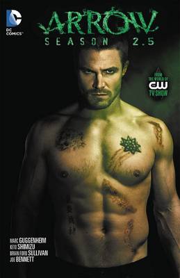 Book cover for Arrow Season 2.5