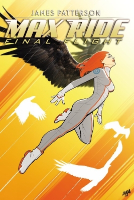 Book cover for Max Ride: Final Flight
