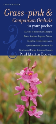 Cover of Grass-pinks and Companion Orchids in Your Pocket