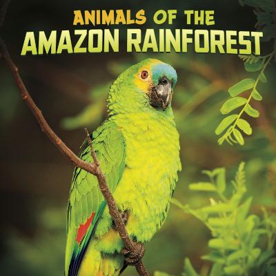 Book cover for Animals of the Amazon Rainforest