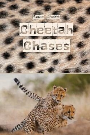 Cover of Cheetah Chases