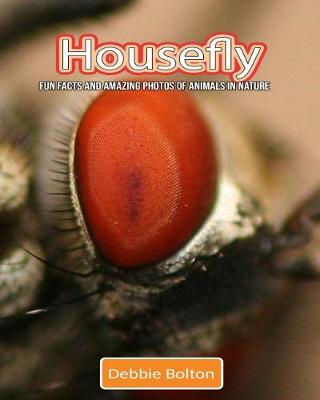 Book cover for Housefly