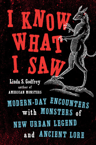 Book cover for I Know What I Saw