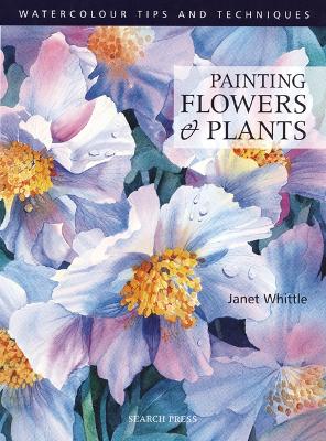 Book cover for Painting Flowers and Plants