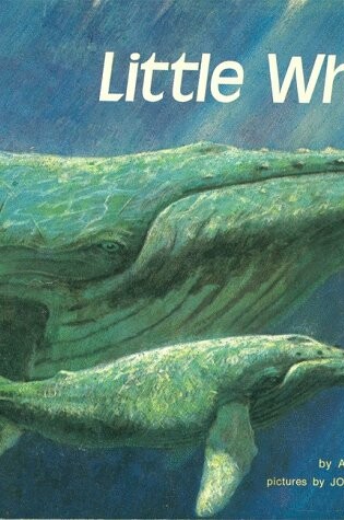 Cover of Little Whale