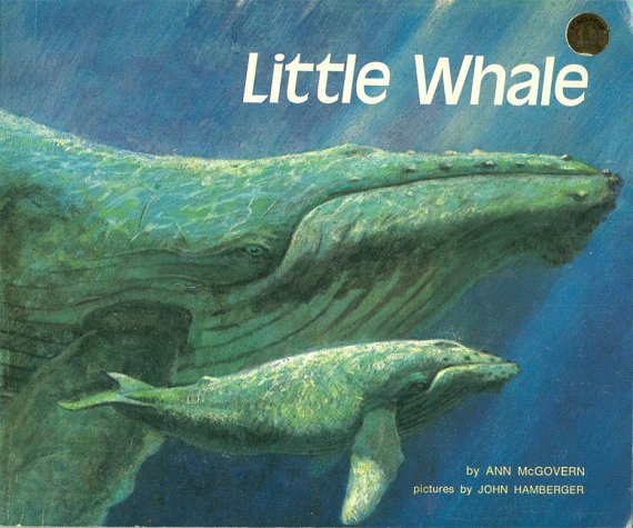 Book cover for Little Whale