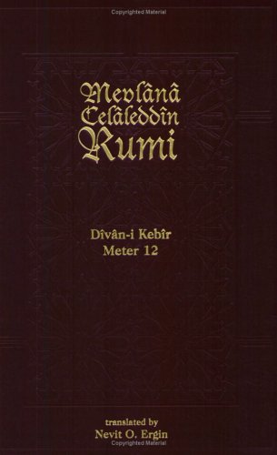 Book cover for Divan-I Kebir, Meter 12