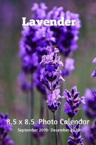 Cover of Lavender 8.5 X 8.5 Calendar September 2019 -December 2020