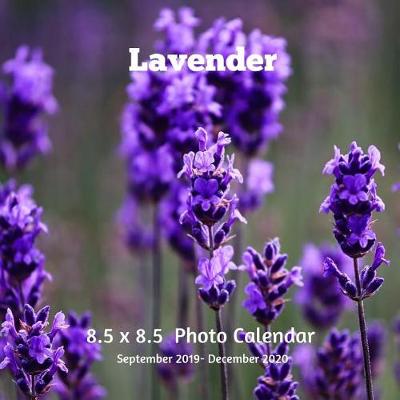 Cover of Lavender 8.5 X 8.5 Calendar September 2019 -December 2020