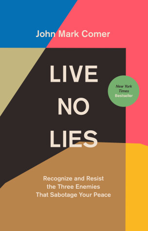Book cover for Live No Lies