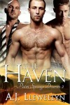 Book cover for The Haven