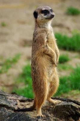 Book cover for Meerkat Standing Tall Animal Journal