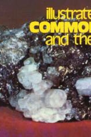 Cover of Guide to Common Rocks & Their Minerals