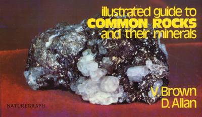 Cover of Guide to Common Rocks & Their Minerals