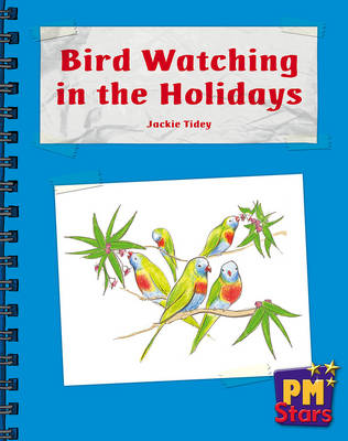 Book cover for Bird Watching in the Holidays