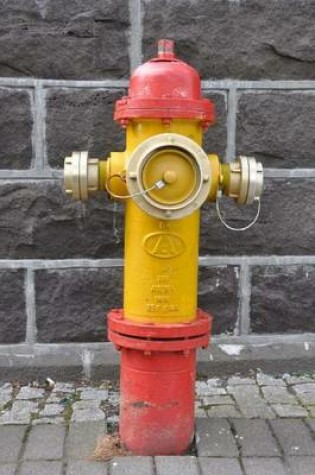 Cover of Yellow and Red Fire Hydrant