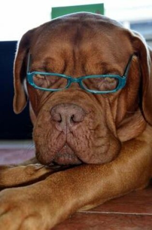 Cover of Handsome French Mastiff with Reading Glasses Dog Journal