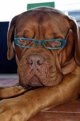 Book cover for Handsome French Mastiff with Reading Glasses Dog Journal