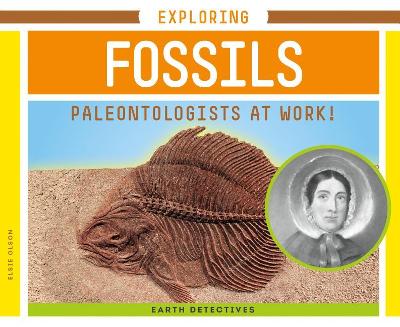 Book cover for Exploring Fossils: Paleontologists at Work!