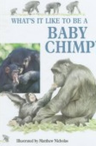 Cover of What It Like to Be a Babychimp