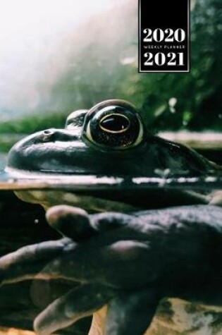 Cover of Frog Toad Week Planner Weekly Organizer Calendar 2020 / 2021 - Swimming on Lake