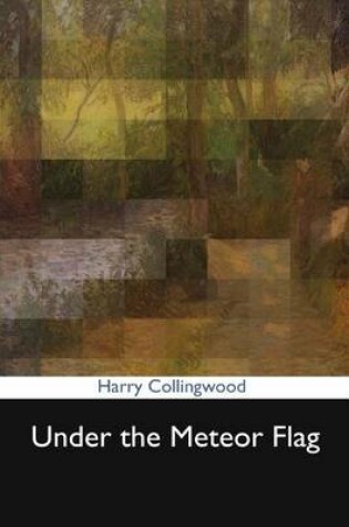 Cover of Under the Meteor Flag