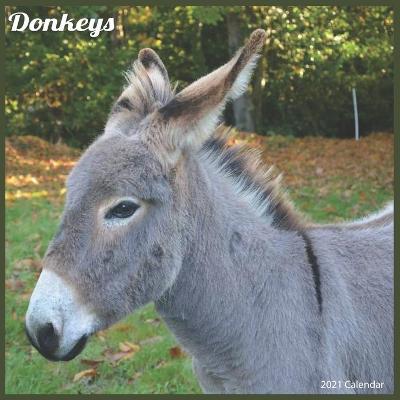 Book cover for Donkeys 2021 Calendar