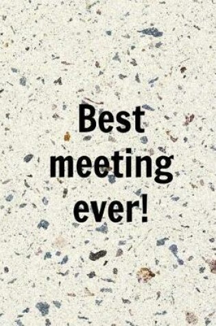 Cover of Best Meeting Ever!