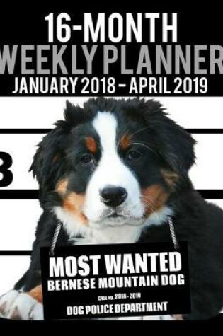 Cover of 2018-2019 Weekly Planner - Most Wanted Bernese Mountain Dog