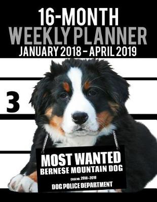 Cover of 2018-2019 Weekly Planner - Most Wanted Bernese Mountain Dog