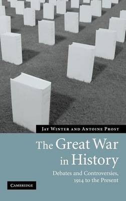Cover of Great War in History, The: Debates and Controversies, 1914 to the Present