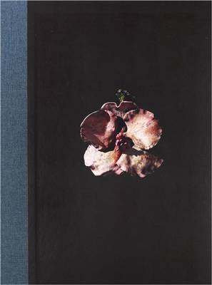 Book cover for Mat Collishaw