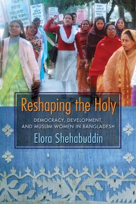 Cover of Reshaping the Holy