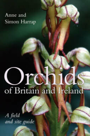 Cover of Orchids of Britain and Ireland