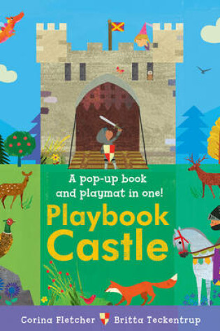 Cover of Playbook Castle