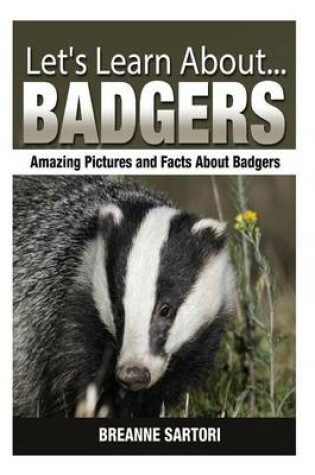 Cover of Badgers