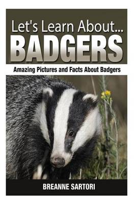 Book cover for Badgers