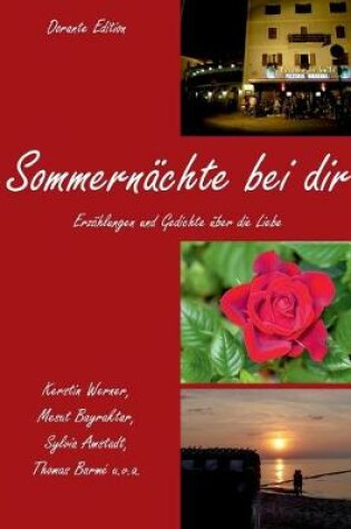 Cover of Sommernächte bei dir