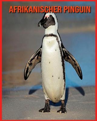 Book cover for Afrikanischer Pinguin