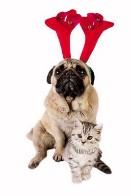 Book cover for Christmas Pug in Antlers with a British Shorthair Kitten