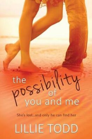 Cover of The Possibility of You and Me