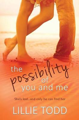 Book cover for The Possibility of You and Me