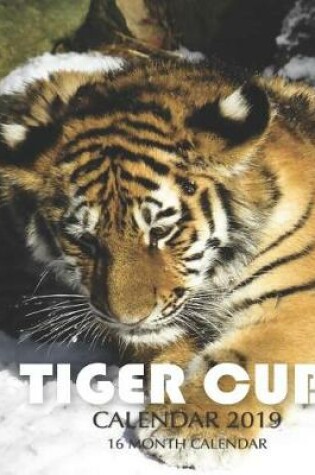 Cover of Tiger Cubs Calendar 2019