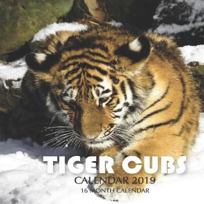 Book cover for Tiger Cubs Calendar 2019